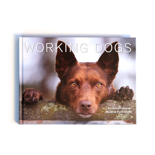 Working Dogs