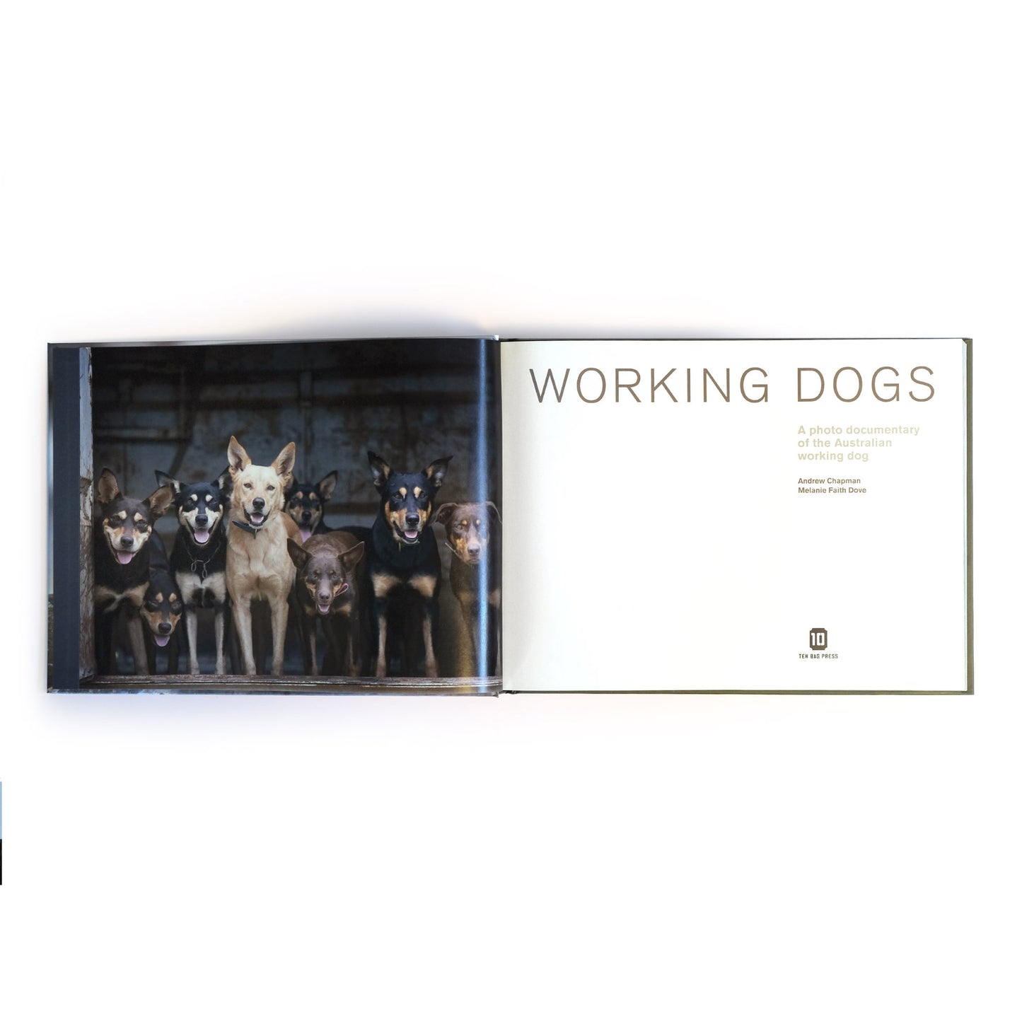 Working Dogs